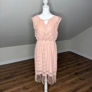 Blush Pink Lace Fringe Flapper Dress 1920s Gatsby Coquette Cottagecore Midi Sz M
